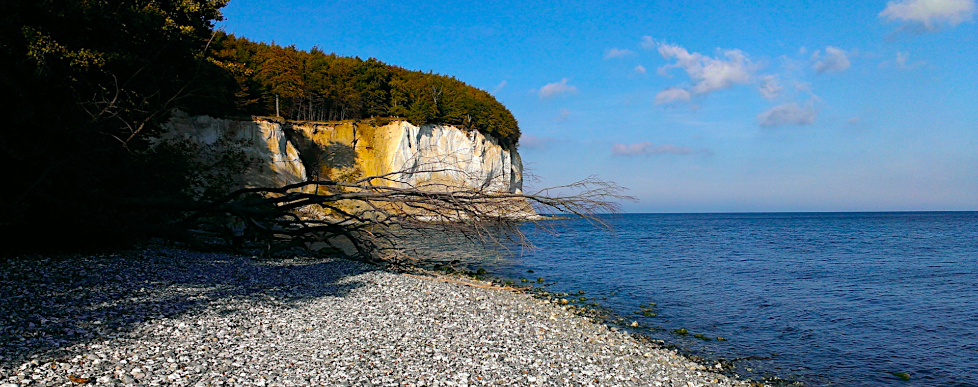 Kreidefelsen,Rügen