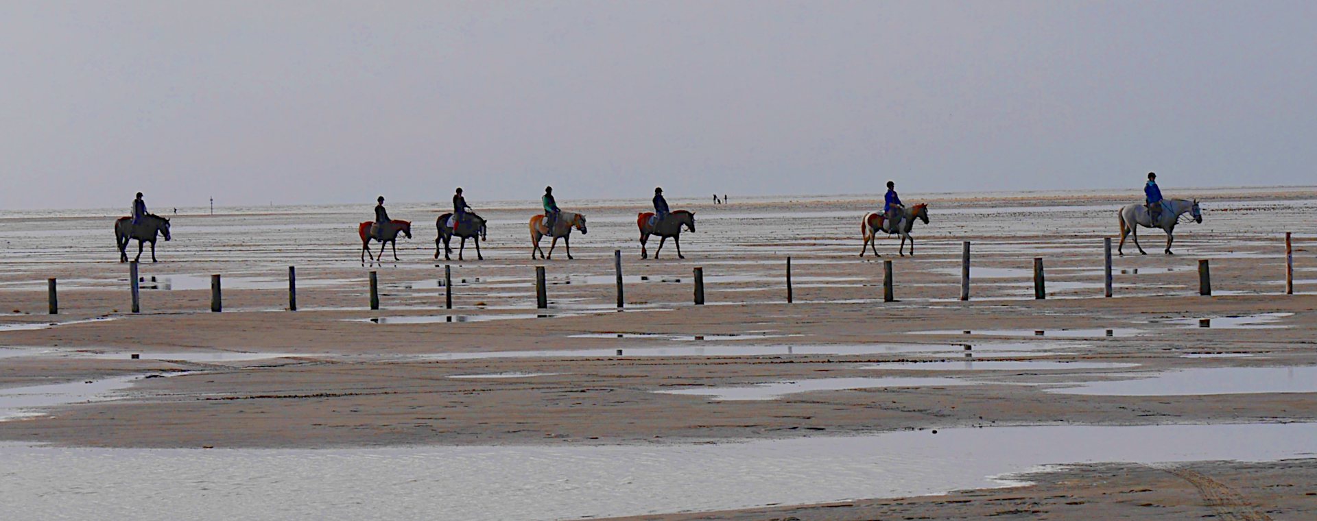 Wattwanderung, St. Peter Ording